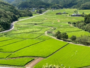 豊後高田市田染荘