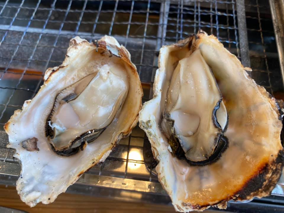 「 KITSUKI TERRACE 」(キツキ テラス)