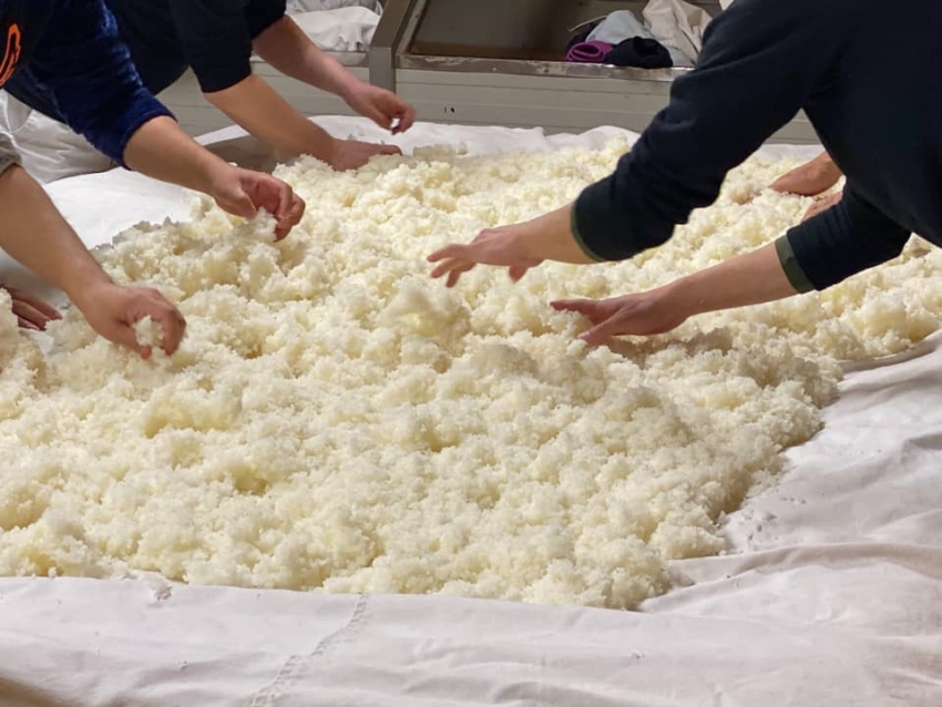 行程3 麹づくり (種付け) 日本酒づくり