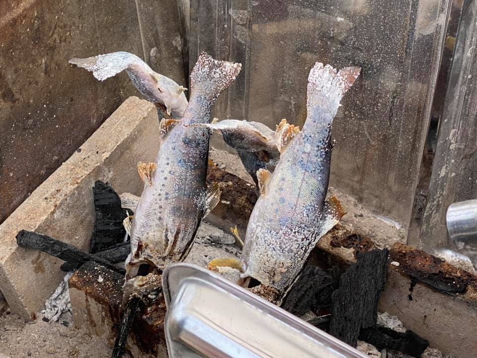 やまめ釣り と 湧水茶屋