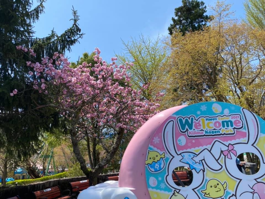城島高原パーク 別府市