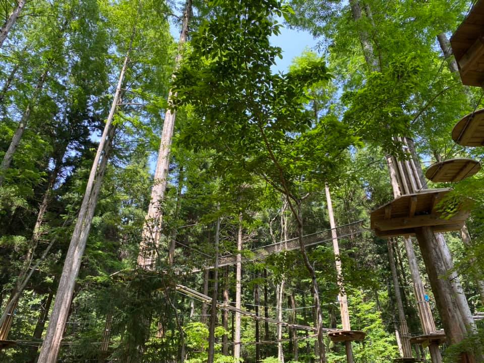 フォレストアドベンチャー　別府