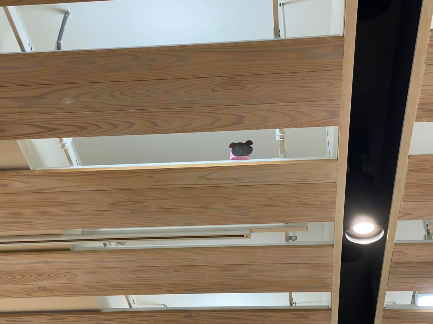 OPAM 2階にて 夏のワークショップ「動物王国~天井裏は夢の国」