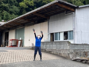 稲刈り体験　井上酒造　日田市