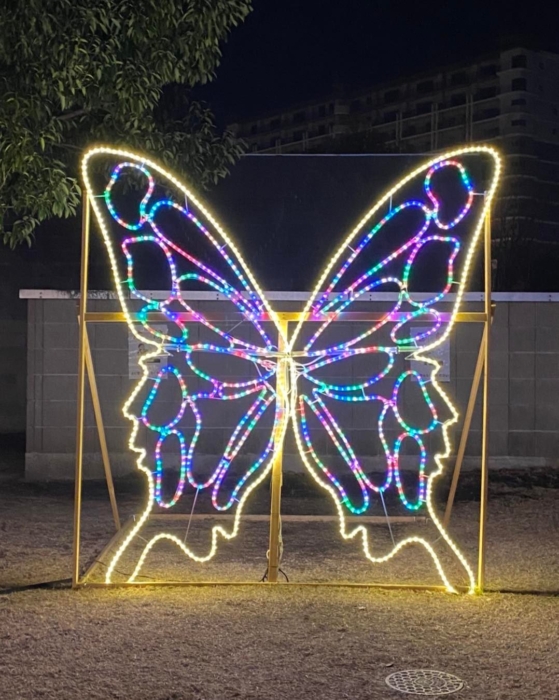 大分いこいの道 イルミネーション 大分市東大道