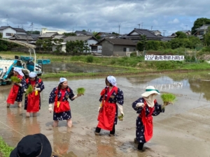 宇佐酒米の田植え体験バスツアー