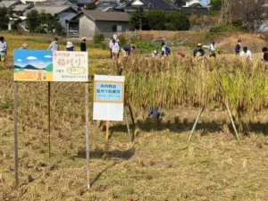 10月16日  宇佐酒米の稲刈り体験と虚空乃蔵 満喫ツアー　開催