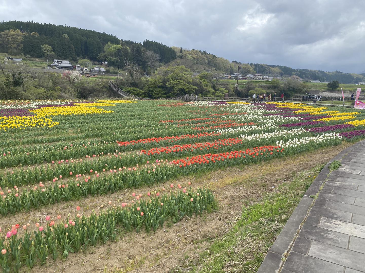 チューリップフェスタ２０２３　道の駅 原尻の滝