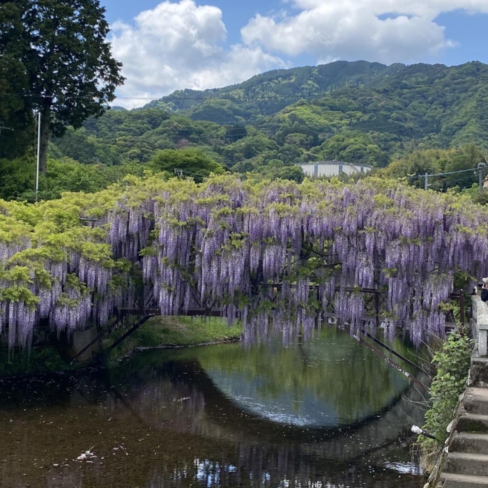西寒多(ささむた)神社 大分市寒田(そうだ)