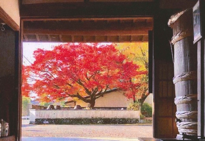 11月3日(祝) 井上酒造 秋の蔵出しバスツアー